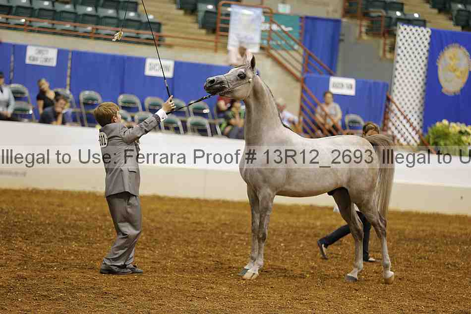 Proof Number 13r12_2693
