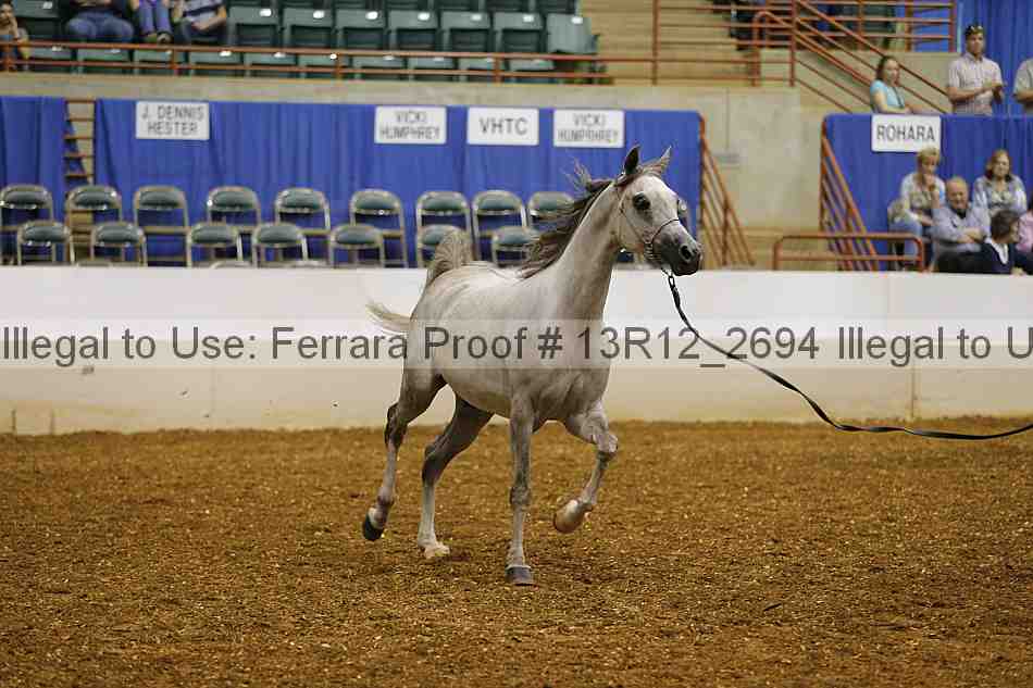Proof Number 13r12_2694