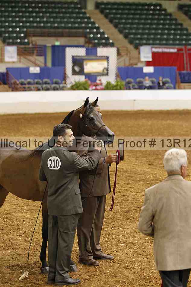 Proof Number 13r12_2699