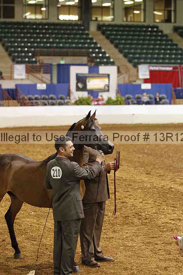 Proof Number 13r12_2701