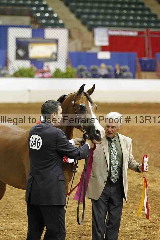 Proof Number 13r12_2713