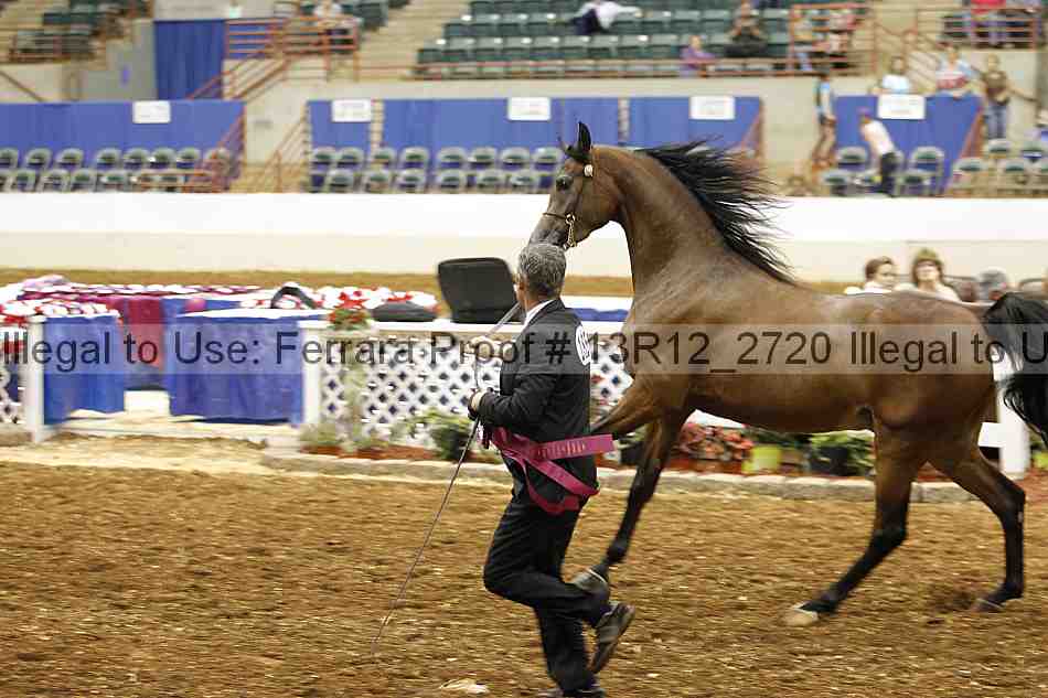 Proof Number 13r12_2720