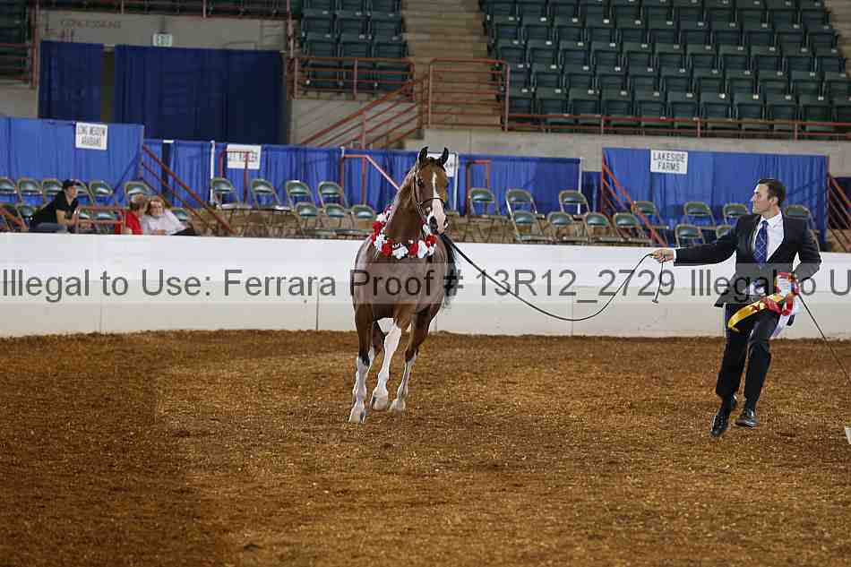 Proof Number 13r12_2729