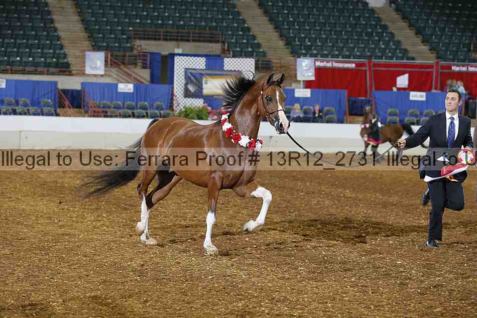 Proof Number 13r12_2731