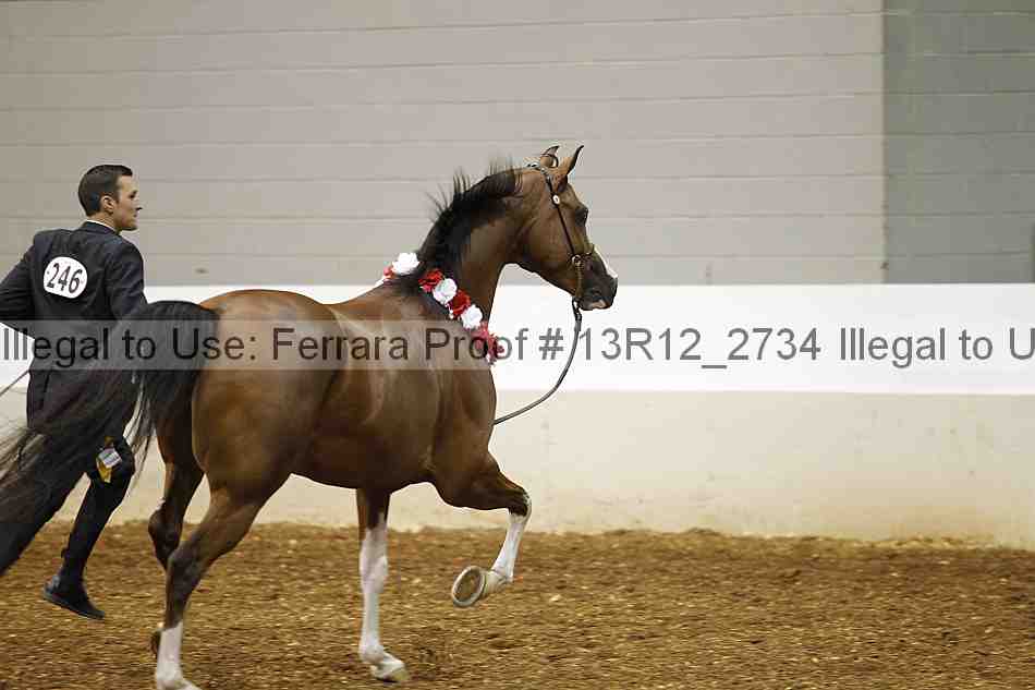 Proof Number 13r12_2734