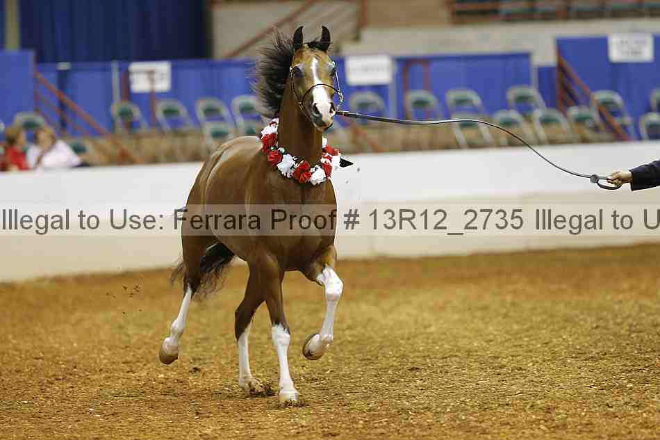 Proof Number 13r12_2735