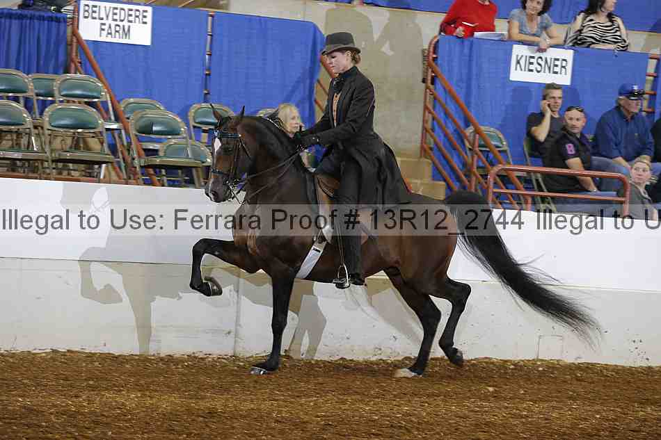 Proof Number 13r12_2744
