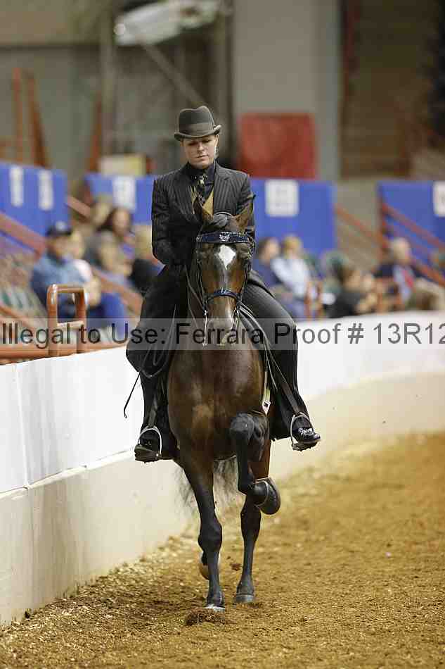 Proof Number 13r12_2752
