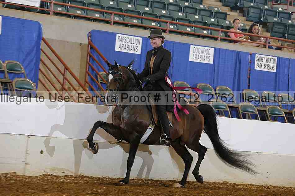 Proof Number 13r12_2762