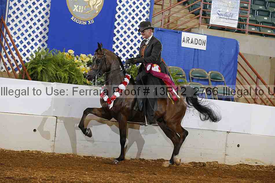 Proof Number 13r12_2766