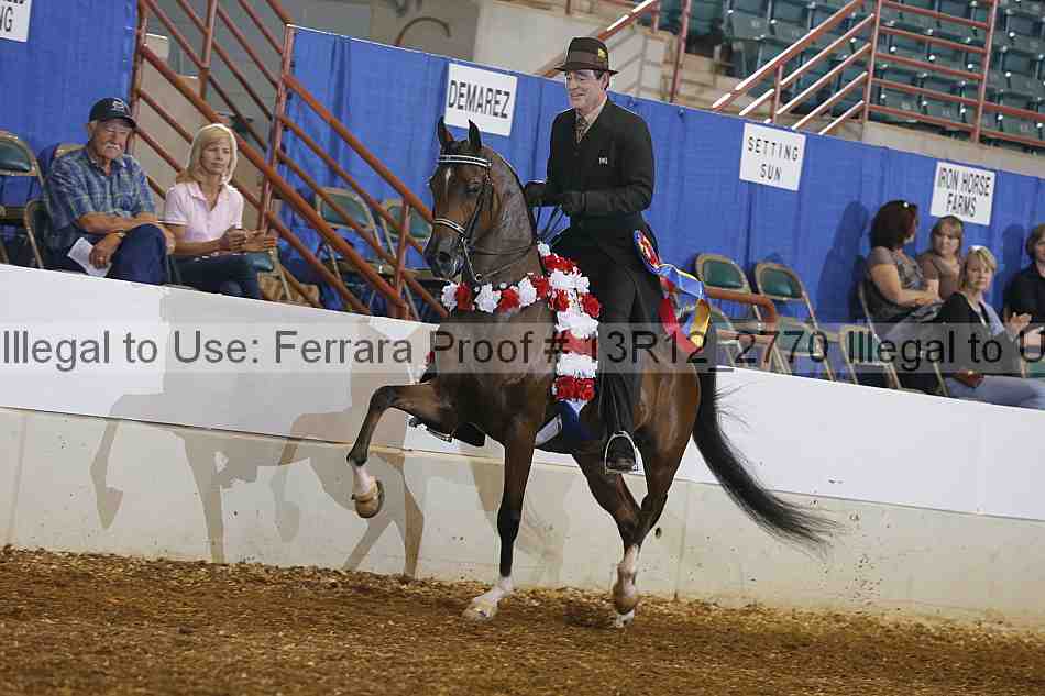 Proof Number 13r12_2770