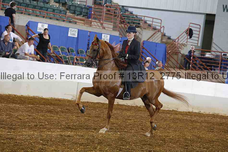 Proof Number 13r12_2775