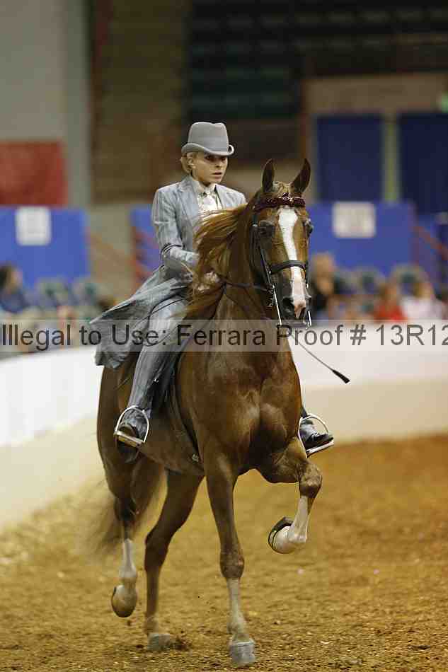 Proof Number 13r12_2782
