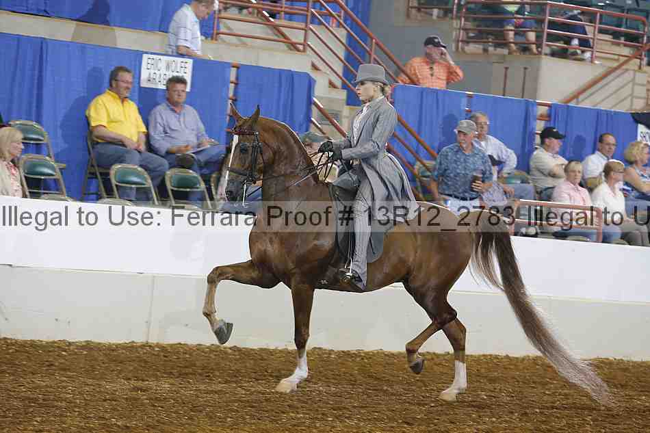 Proof Number 13r12_2783
