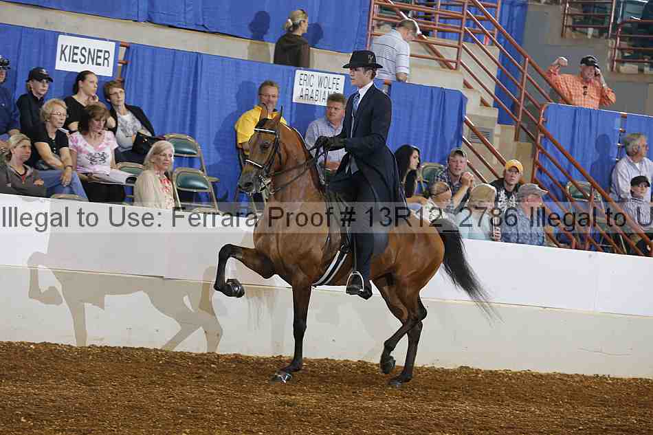 Proof Number 13r12_2786
