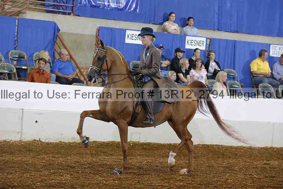 Proof Number 13r12_2794