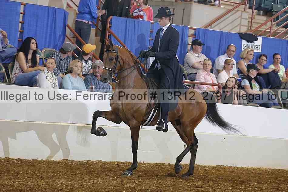 Proof Number 13r12_2797