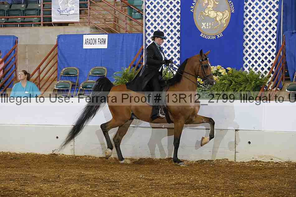 Proof Number 13r12_2799