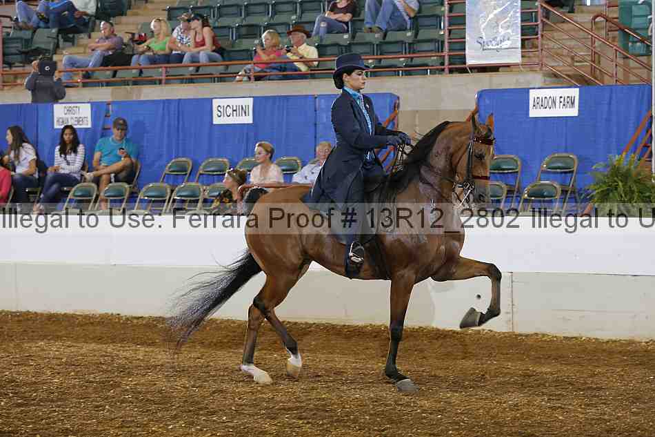 Proof Number 13r12_2802
