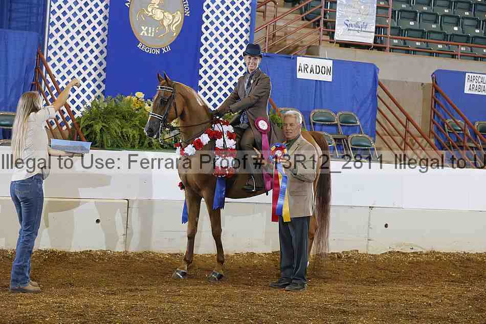 Proof Number 13r12_2811