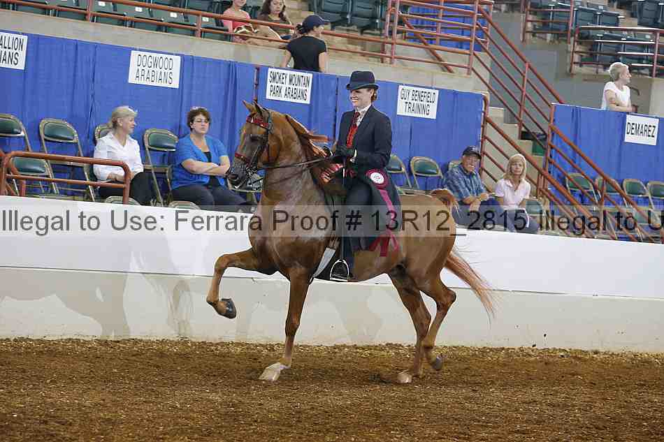 Proof Number 13r12_2815