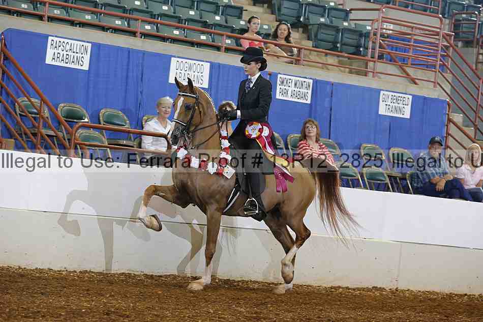 Proof Number 13r12_2825