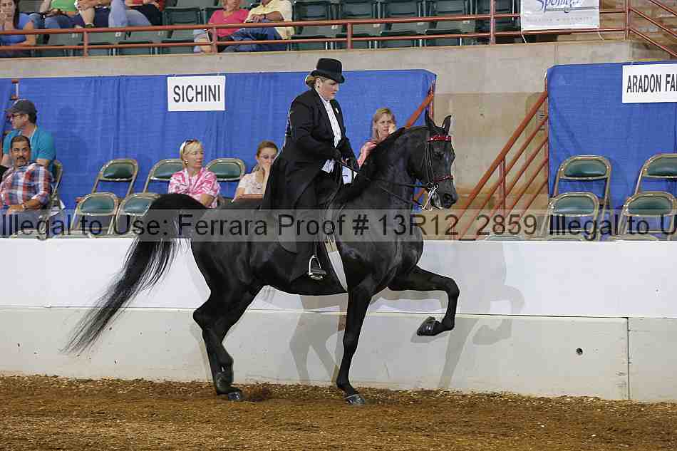 Proof Number 13r12_2859
