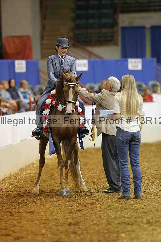 Proof Number 13r12_2872