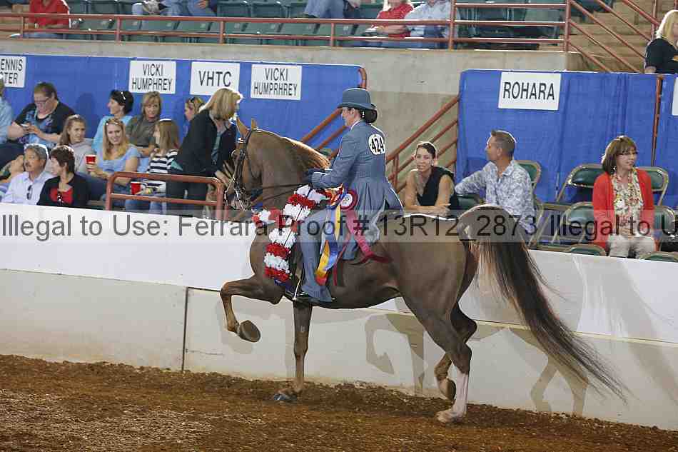 Proof Number 13r12_2873