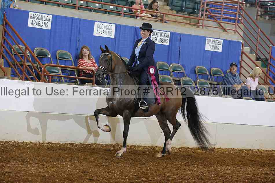 Proof Number 13r12_2875