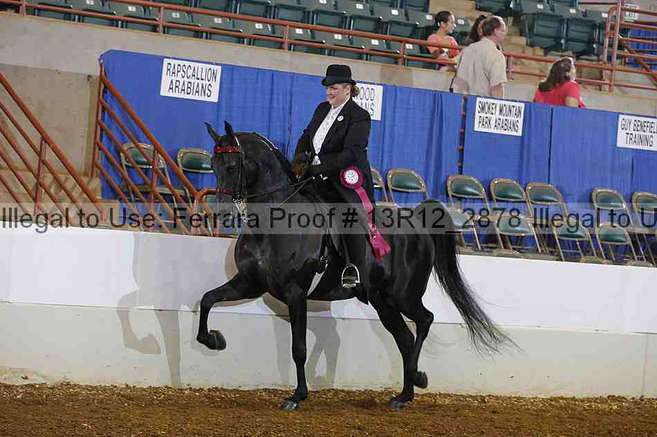 Proof Number 13r12_2878