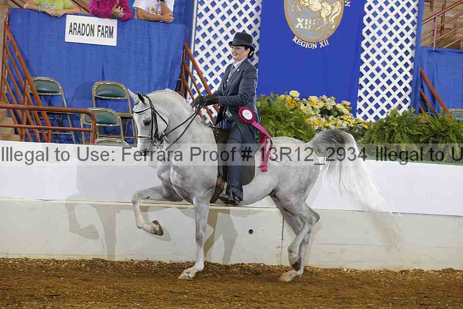 Proof Number 13r12_2934