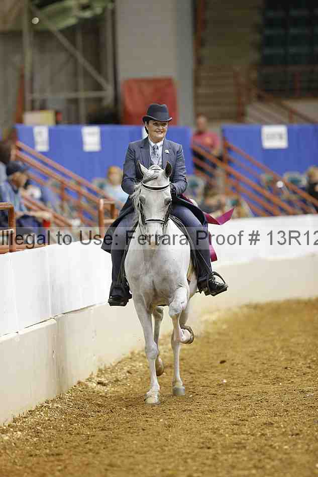 Proof Number 13r12_2936