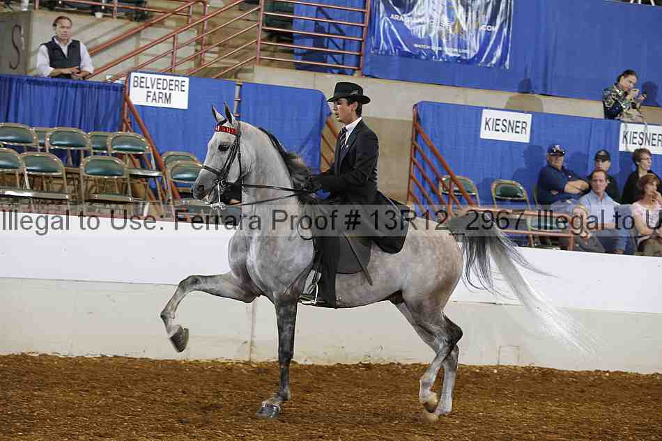 Proof Number 13r12_2967