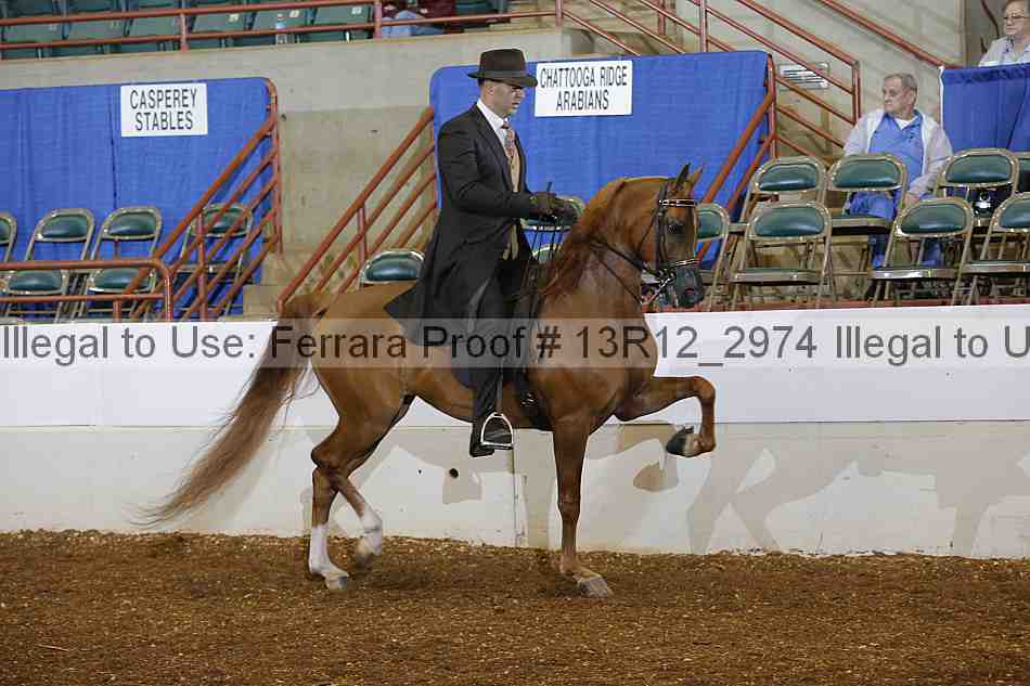 Proof Number 13r12_2974
