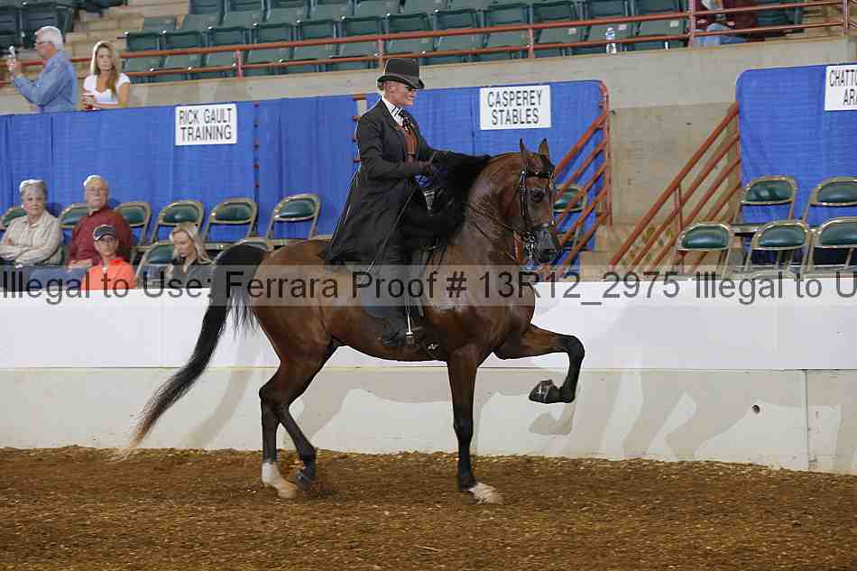 Proof Number 13r12_2975