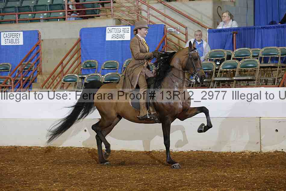 Proof Number 13r12_2977