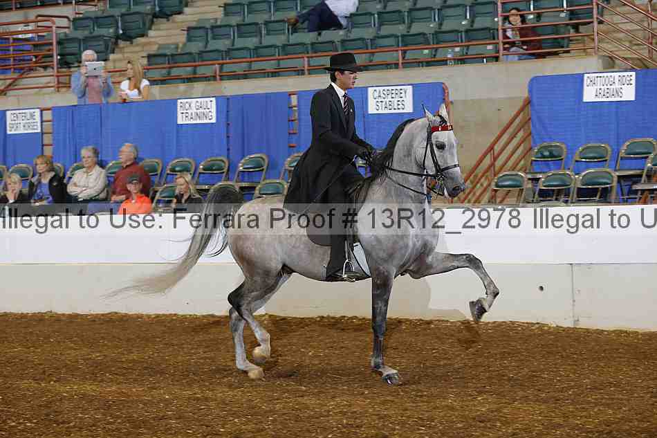 Proof Number 13r12_2978