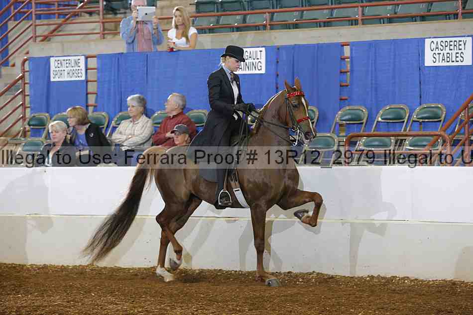 Proof Number 13r12_2979