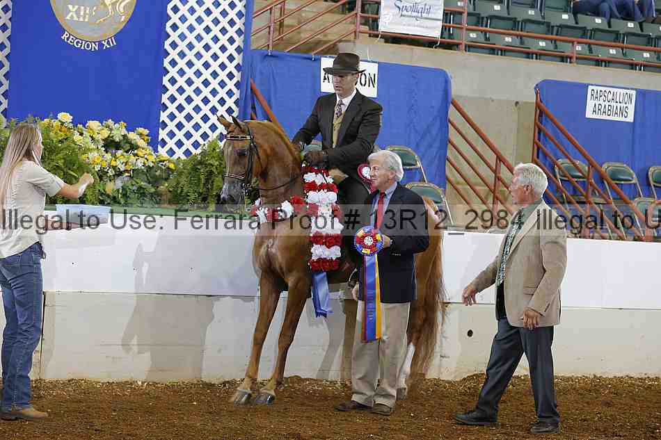Proof Number 13r12_2984