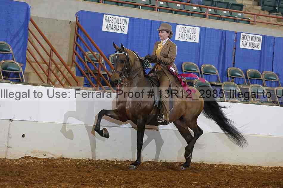 Proof Number 13r12_2985
