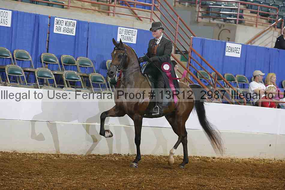 Proof Number 13r12_2987