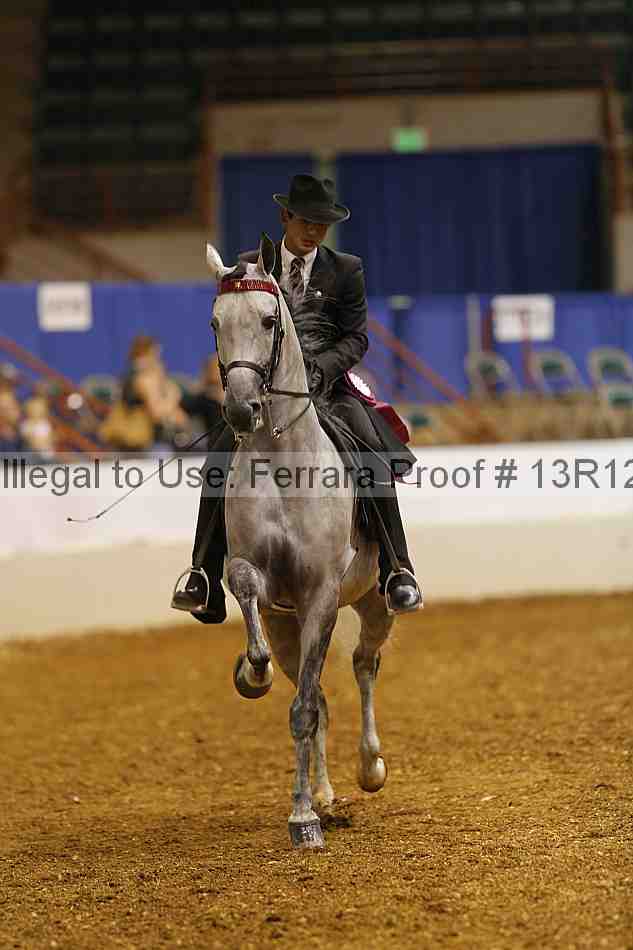 Proof Number 13r12_2992