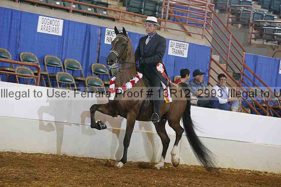 Proof Number 13r12_2993