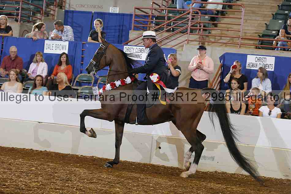 Proof Number 13r12_2995