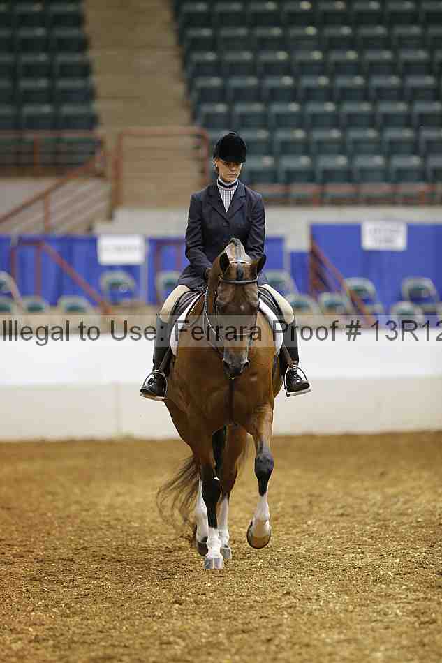 Proof Number 13r12_3013
