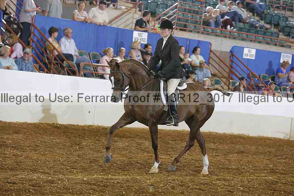 Proof Number 13r12_3017