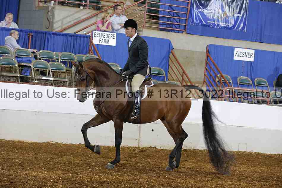 Proof Number 13r12_3022