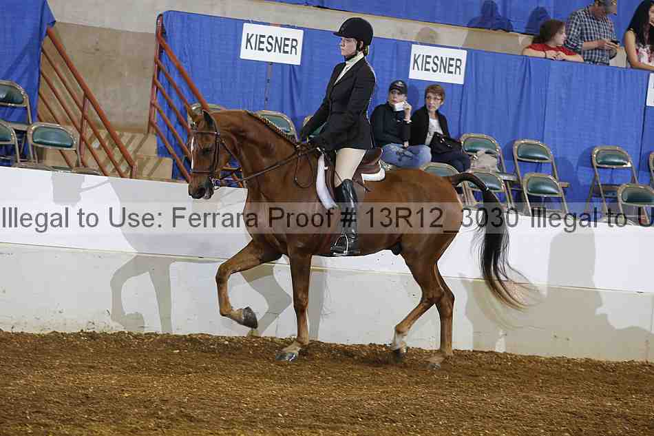 Proof Number 13r12_3030