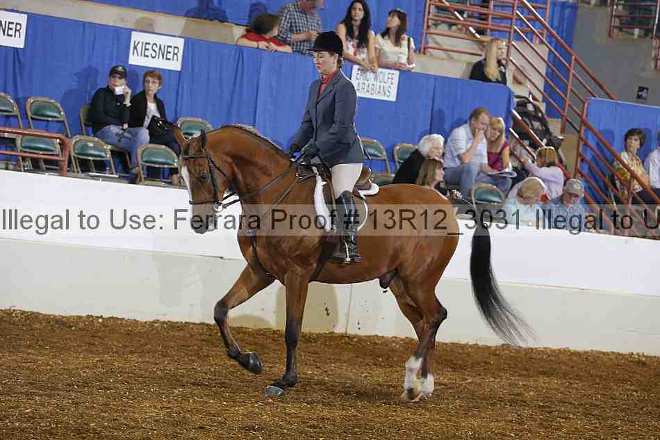 Proof Number 13r12_3031